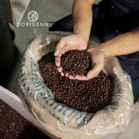EL CAFÉ QUE CONSUMIMOS